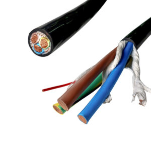 EV Changer Cable