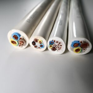 EV Changer Cable